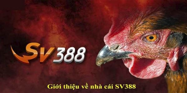 Giới thiệu về đăng nhập sv388