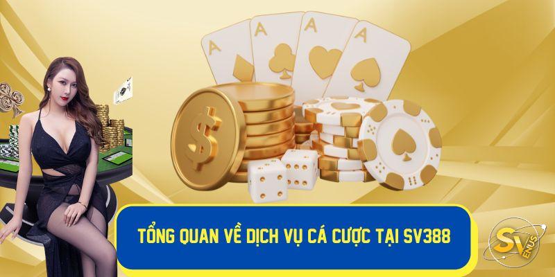 Tổng quan giới thiệu SV388 dịch vụ cá cược 